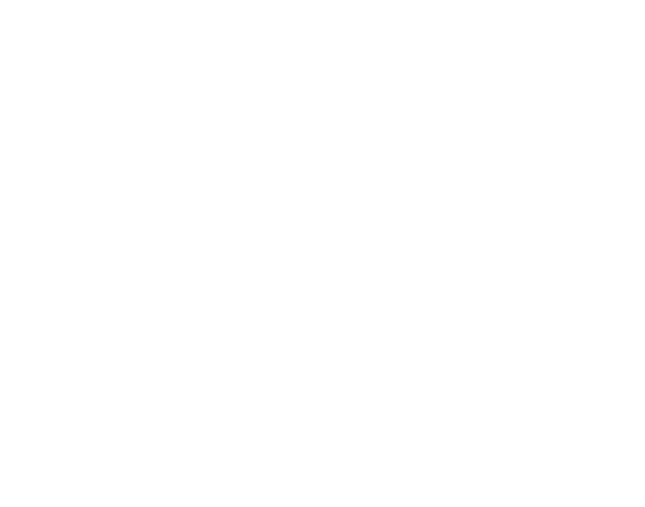 SEDT 2025